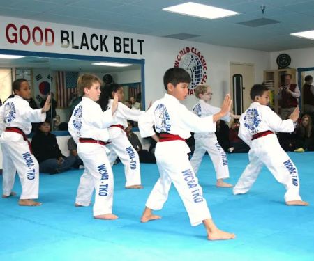 World Classic Martial Arts