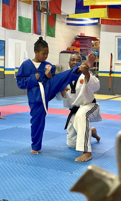 Charles Bayou School of Taekwondo Picture 7