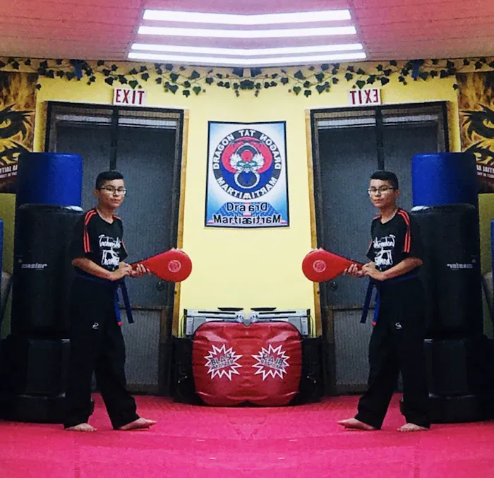 Dragon Martial Art Picture 3