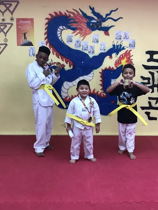 Dragon Martial Art Picture 5