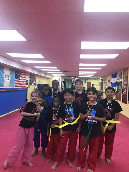 Dragon Martial Art Picture 4