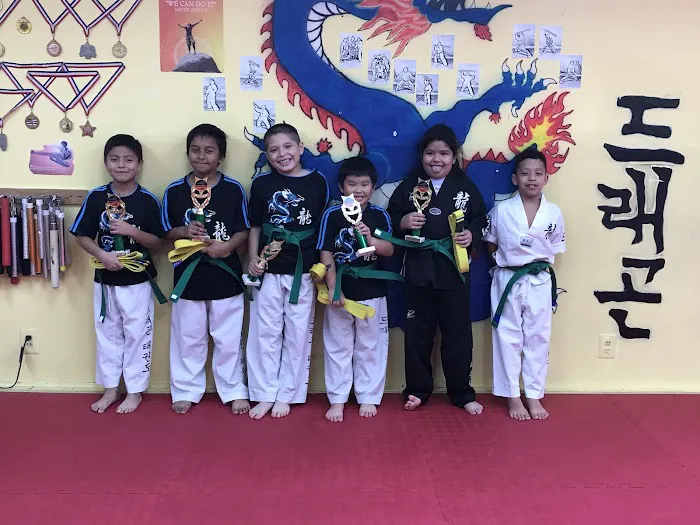 Dragon Martial Art Picture 6