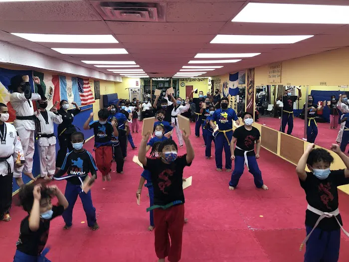 Dragon Martial Art Picture 10