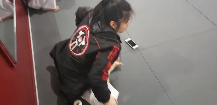 Capital Martial Arts Picture 5