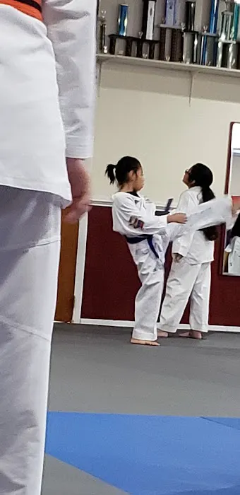 Capital Martial Arts Picture 9