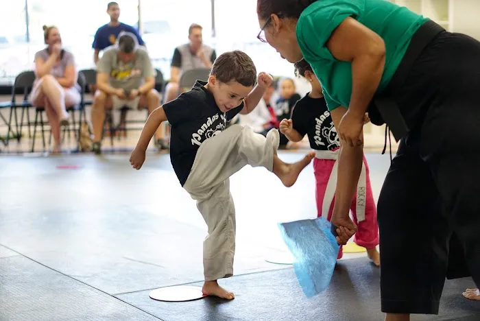 Pandas Karate Picture 1