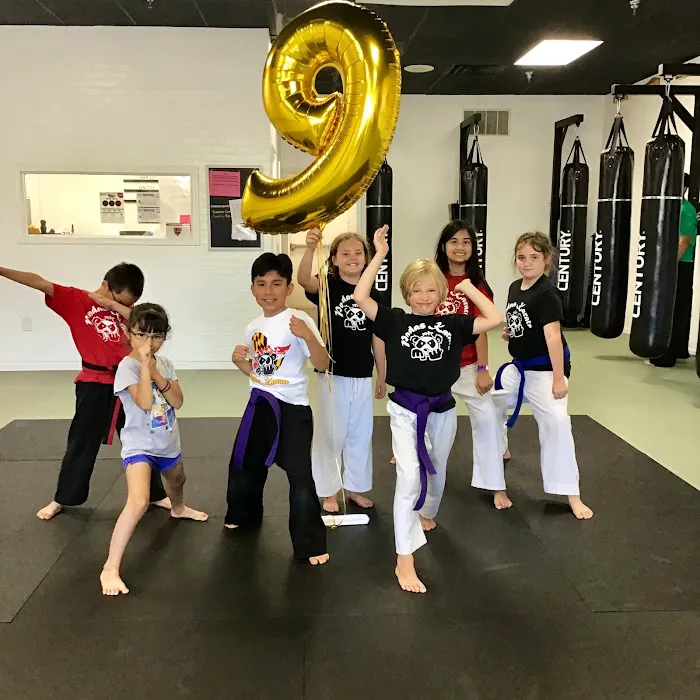 Pandas Karate Picture 3