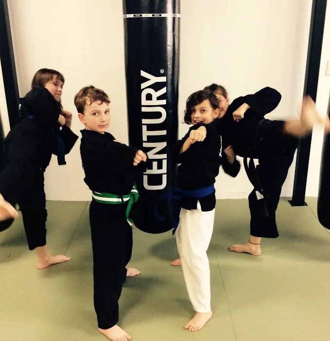 Pandas Karate Picture 5