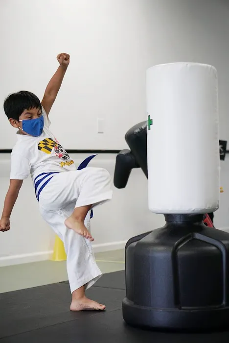 Pandas Karate Picture 6