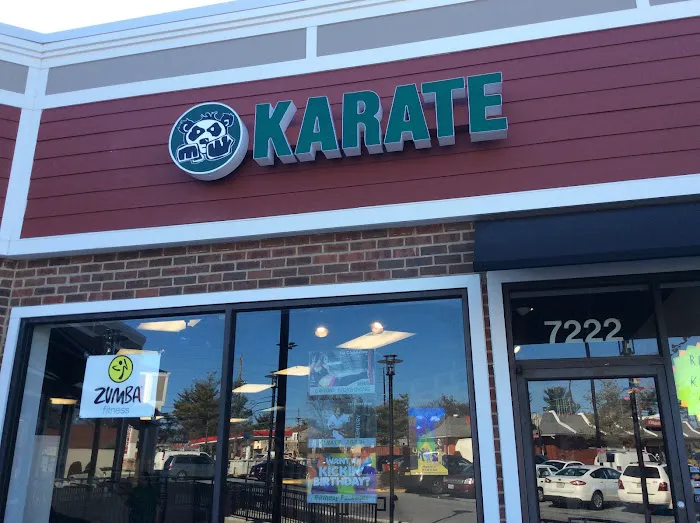 Pandas Karate Picture 4