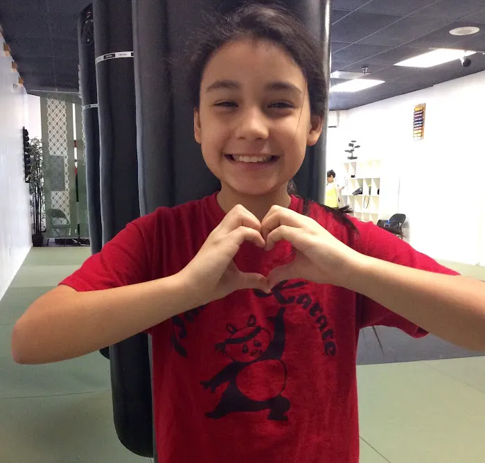 Pandas Karate Picture 7