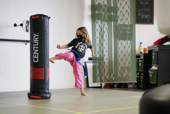 Pandas Karate Picture 10