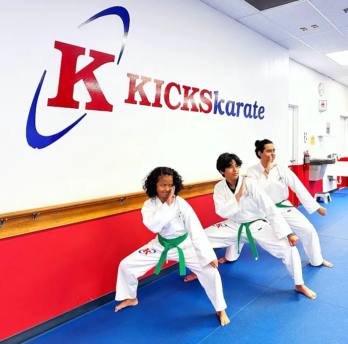 Kicks Karate - Martial Arts school Rockville Picture 3