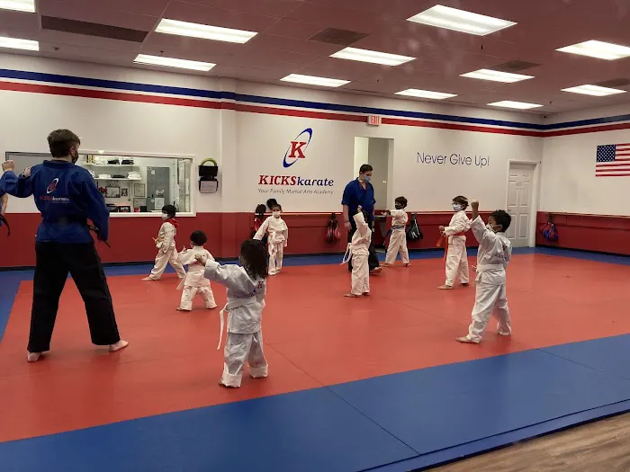 Kicks Karate - Martial Arts school Rockville Picture 2