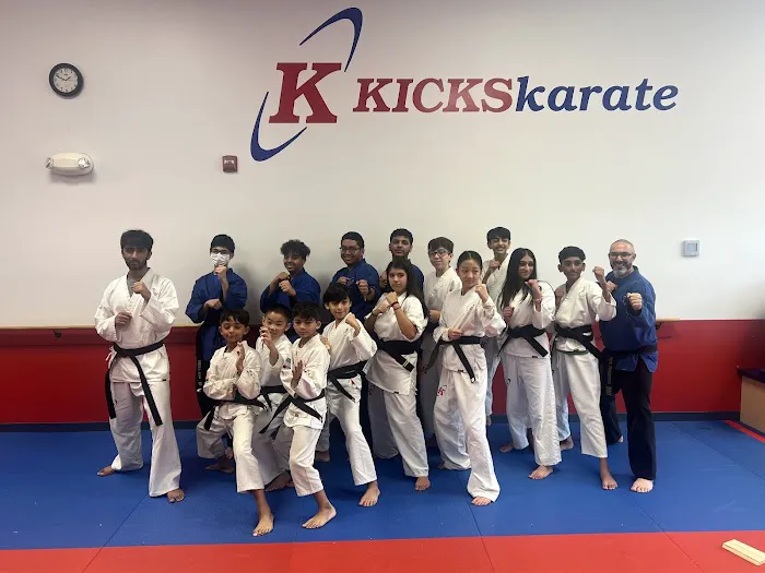 Kicks Karate - Martial Arts school Rockville Picture 6