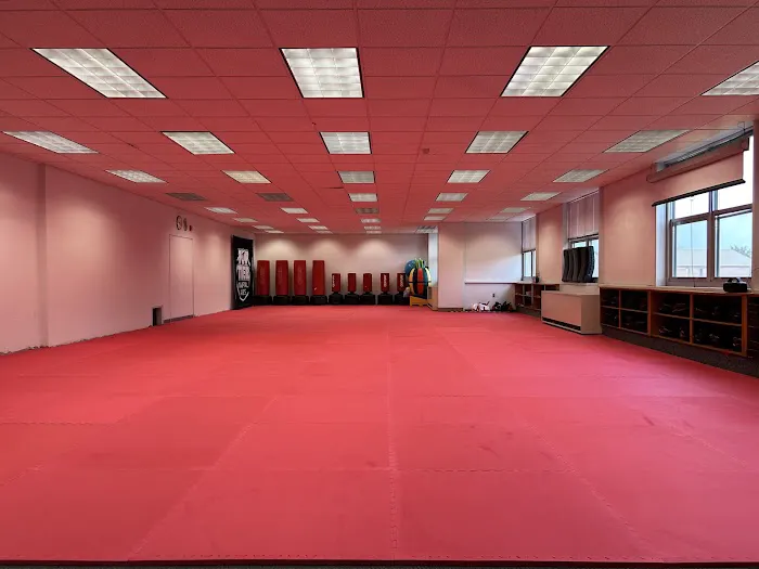 Top Tier Martial Arts Picture 3