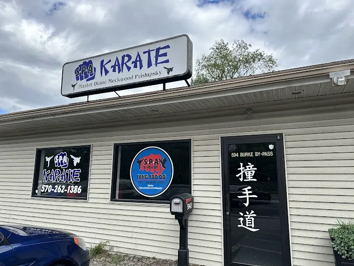 S-P-A Karate Picture 1