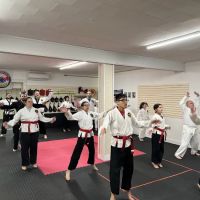 Electric City Tang Soo Do ico