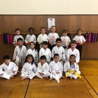 Scranton Karate School ico
