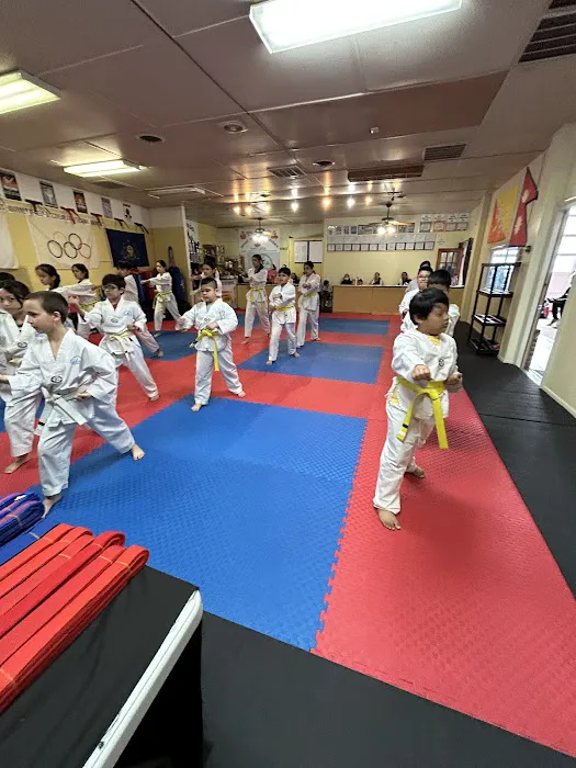 HIMALAYAN TAEKWONDO CHAMBERSBURG PA Picture 7