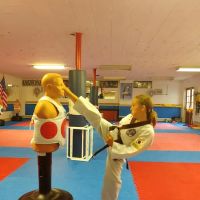 Min's Karate Academy ico