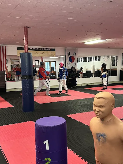 Min's Karate Academy Picture 5