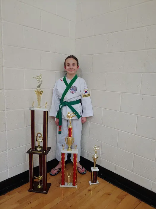 Min's Karate Academy Picture 6