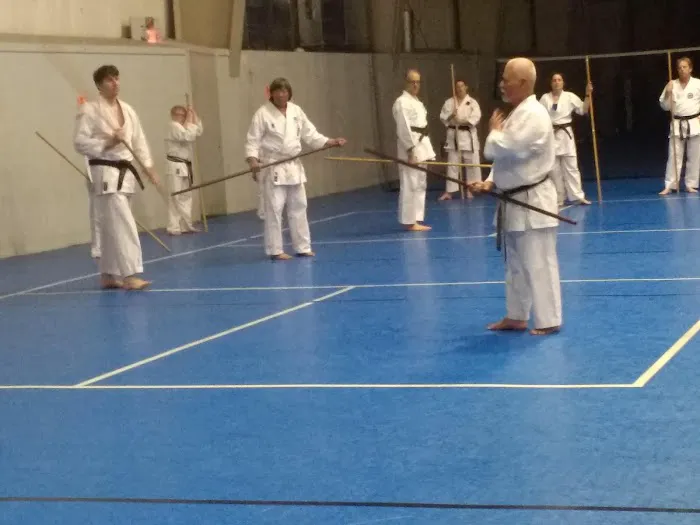 The Karate Center Picture 2