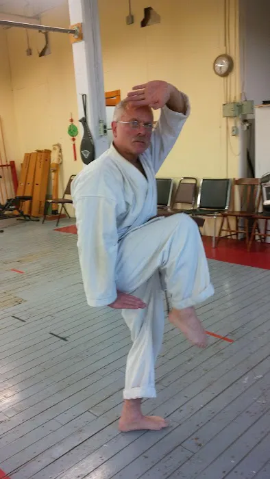 The Karate Center Picture 3