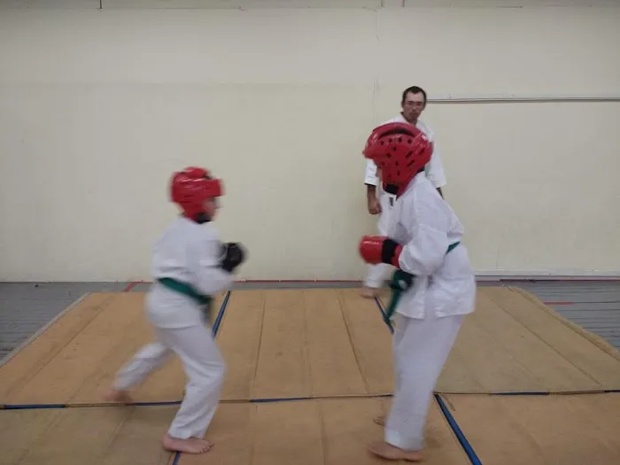 The Karate Center Picture 1