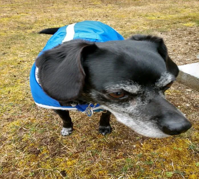 The Karate Center Picture 4