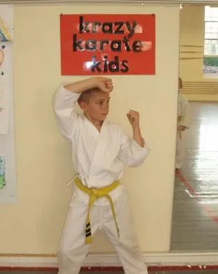 The Karate Center Picture 8