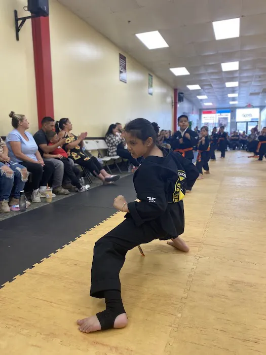 Master Martial Arts Picture 10