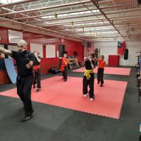 Dragon Gate Kung Fu Academy ico