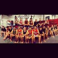 Team Link Muay Thai ico