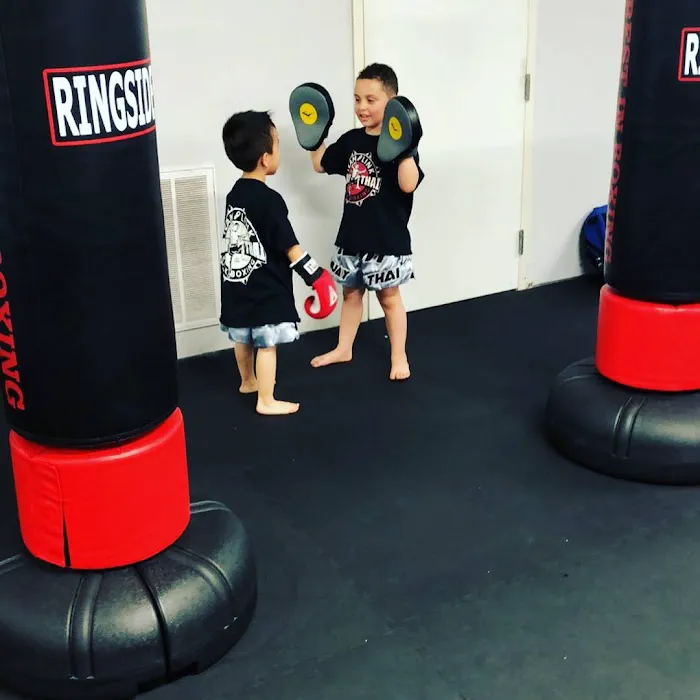 Team Link Muay Thai Picture 9