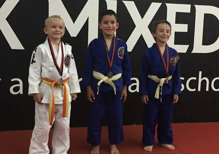 Worcester Martial Arts Academy Picture 4