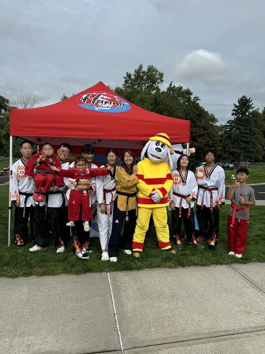 Hanmi Tae Kwon Do Center Shrewsbury Picture 2