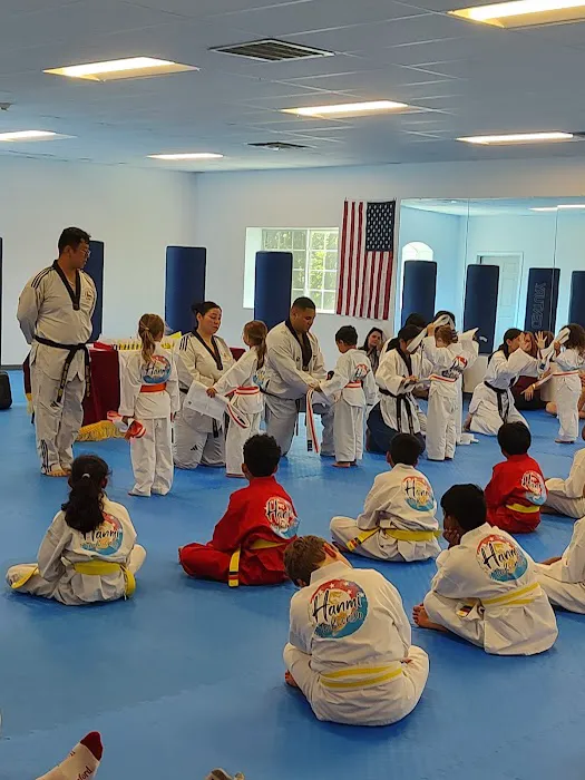 Hanmi Tae Kwon Do Center Shrewsbury Picture 4