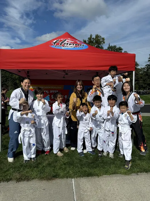 Hanmi Tae Kwon Do Center Shrewsbury Picture 6