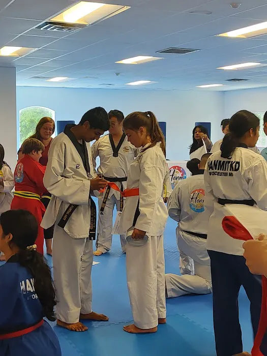 Hanmi Tae Kwon Do Center Shrewsbury Picture 9