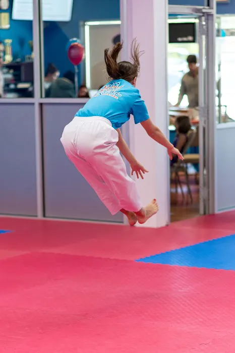 Champions Martial Arts Picture 8