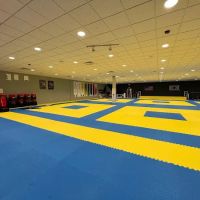 Evolution Martial Arts ico