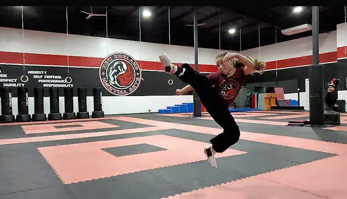 New England Martial Arts Athletic Center Picture 3