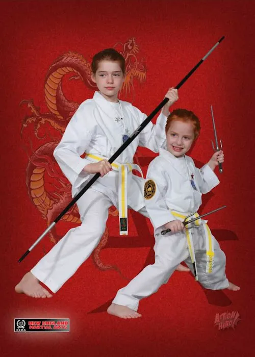 New England Martial Arts Athletic Center Picture 5