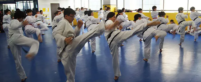 Jae H Kim Tae Kwon DO Institute Picture 2