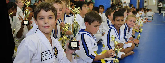 Jae H Kim Tae Kwon DO Institute Picture 5