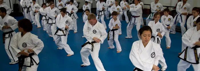 Jae H Kim Tae Kwon DO Institute Picture 8