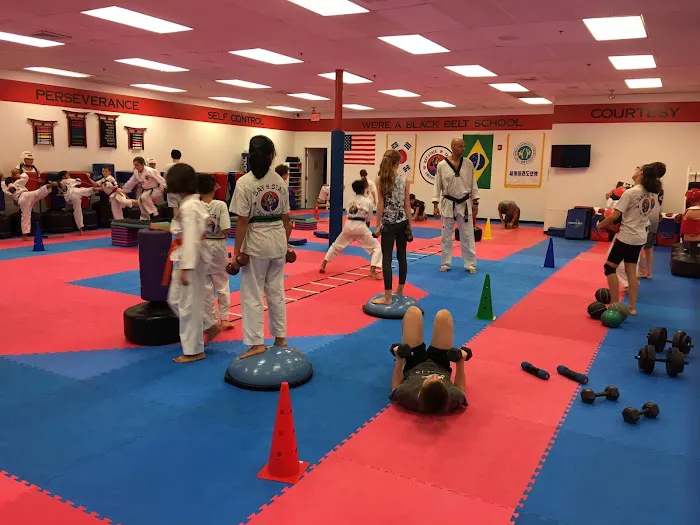 Baystate Taekwondo Academy Picture 2