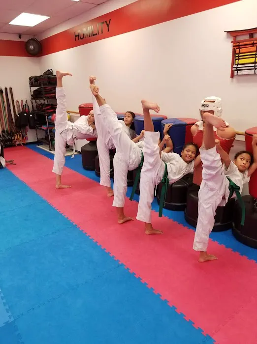 Baystate Taekwondo Academy Picture 10